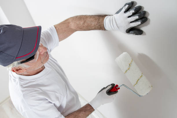 Best Mold Odor Removal Services  in University Park, NM
