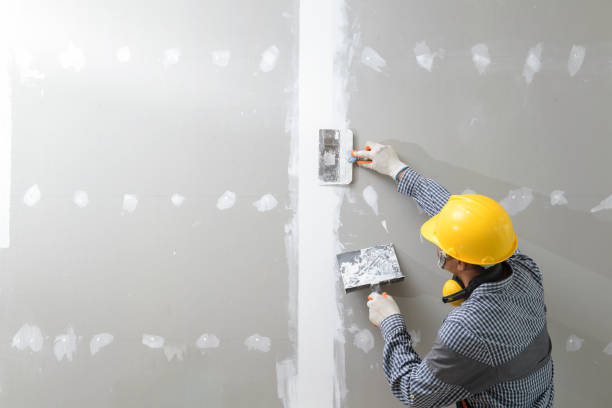 Best Industrial Mold Remediation  in University Park, NM