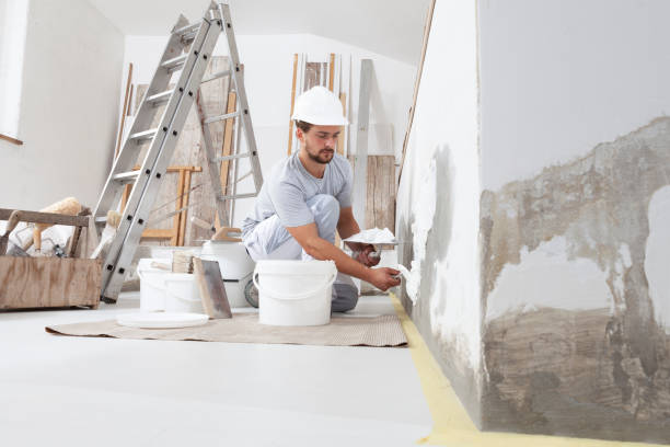  University Park, NM Mold Removal Pros